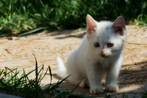 ǰ11¹ҵҵʵ57445Ԫ ͬ2.4%