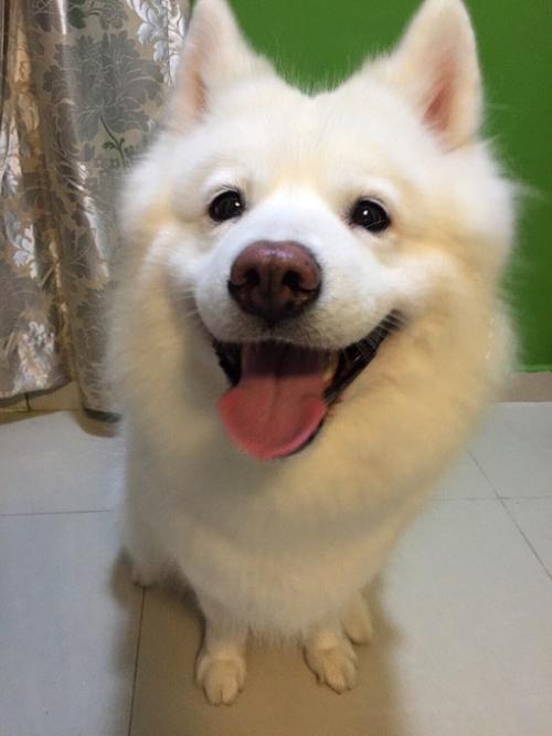 Լ͸¶ڿԱ˹F-16սѵڹҪ48ܡսʤ˹