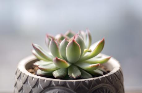 ɽ¶«¼ÎÏéÒ»Ð¡Çø5Äêδ¹©Å¯ÈçºÎ½â¾öµÄ£¿31ÈÕ¹©Å¯