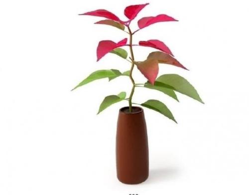 ¶Å½ÈÎÎÄÂò¿¸±²¿³¤ Å£Ò»±øÈιú¼ÒÍøÐŰ츱Ö÷ÈÎ