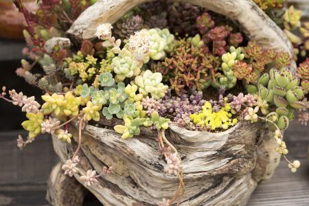 й½ϳƫ ȫůorȫ䣿