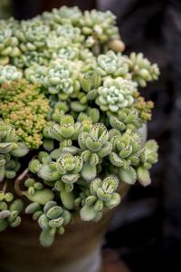 ¸öÈËÑøÀϽðÂúÈýÄêÁË£¡ÄãµÄÕË»§±íÏÖÈçºÎ£¿