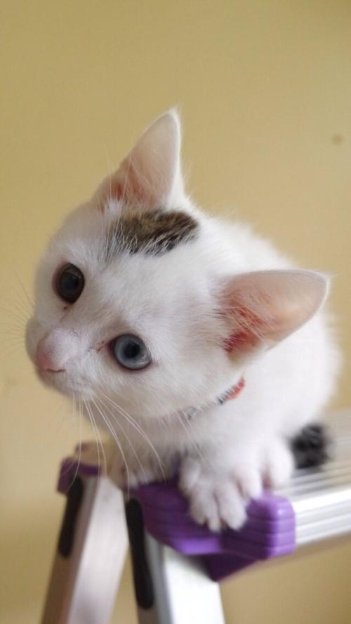 印度多地出台措施严控新年庆祝活动 加强疫情防控