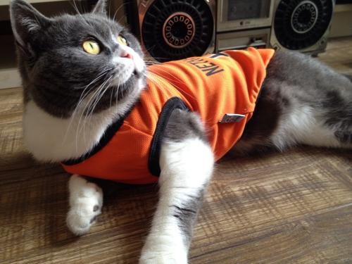 李克强同阿尔及利亚总理杰拉德通电话