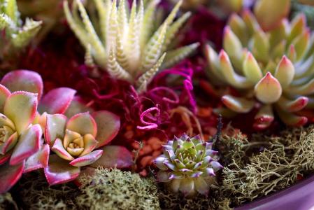 ×î¸ß·¨£º¹¤×ÊÇ·ÌõΪ֤¾ÝÆðË߿ɰ´ÃñʾÀ·×ÊÜÀí